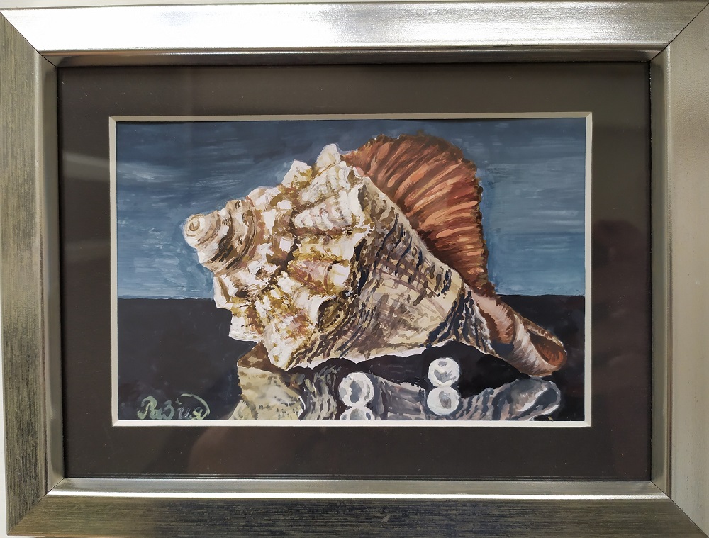 Shell in silver frame