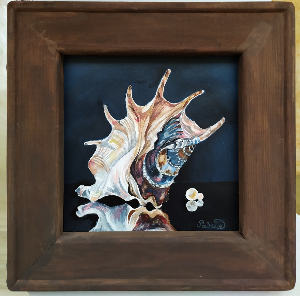 Shell in brown frame